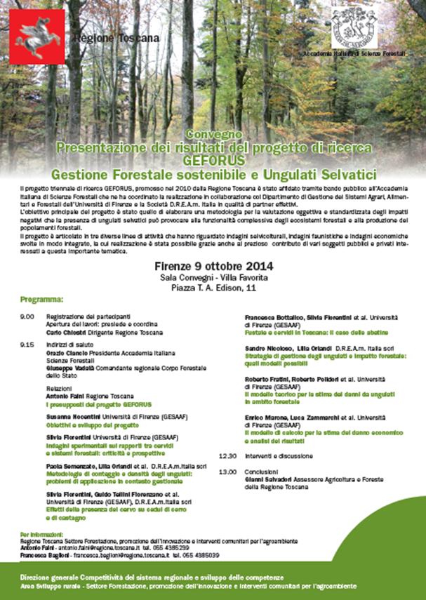 programma geforus