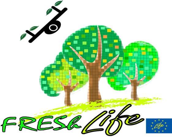 logo fresh life