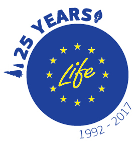 life_final2