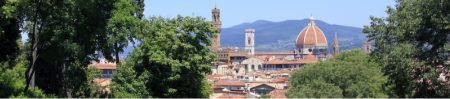 WORKSHOP Il ruolo ambientale degli alberi e della foresta urbana a Firenze