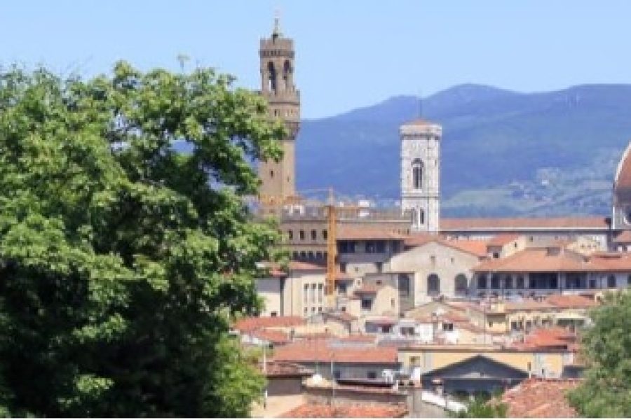 WORKSHOP Il ruolo ambientale degli alberi e della foresta urbana a Firenze
