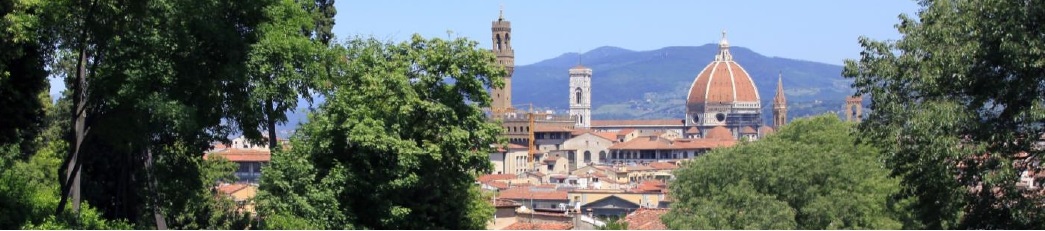 WORKSHOP Il ruolo ambientale degli alberi e della foresta urbana a Firenze