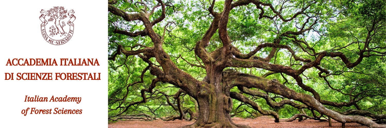 ACCADEMIA ITALIANA DI SCIENZE FORESTALI Italian Academy of Forest Sciences