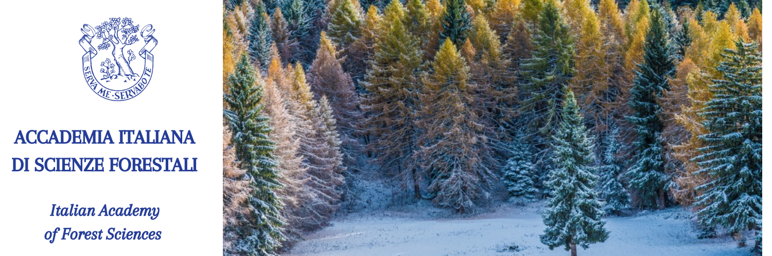 ACCADEMIA ITALIANA DI SCIENZE FORESTALI Italian Academy of Forest Sciences