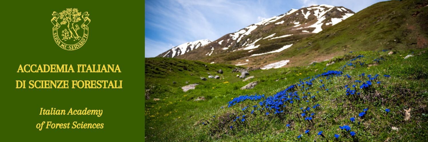 ACCADEMIA ITALIANA DI SCIENZE FORESTALI Italian Academy of Forest Sciences