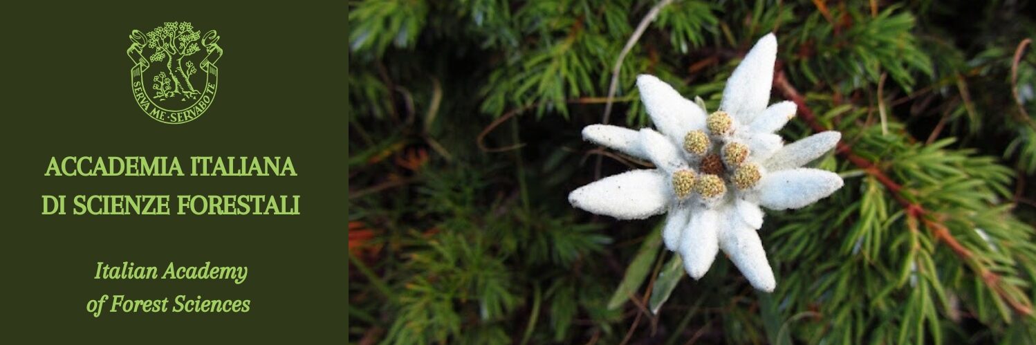 ACCADEMIA ITALIANA DI SCIENZE FORESTALI Italian Academy of Forest Sciences