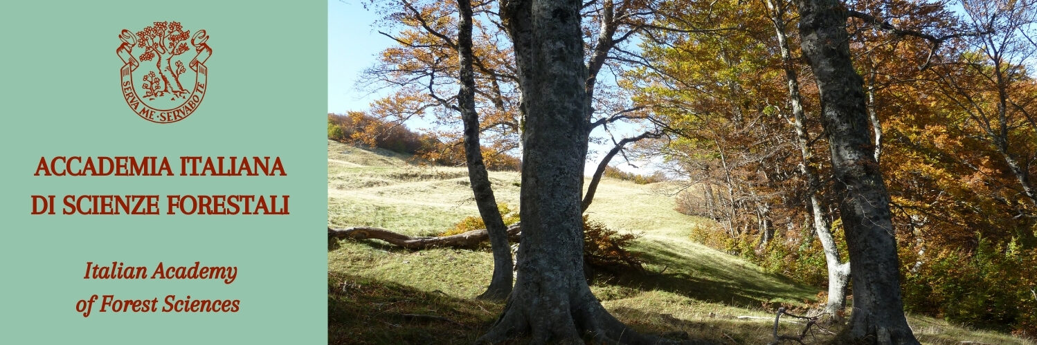 ACCADEMIA ITALIANA DI SCIENZE FORESTALI Italian Academy of Forest Sciences