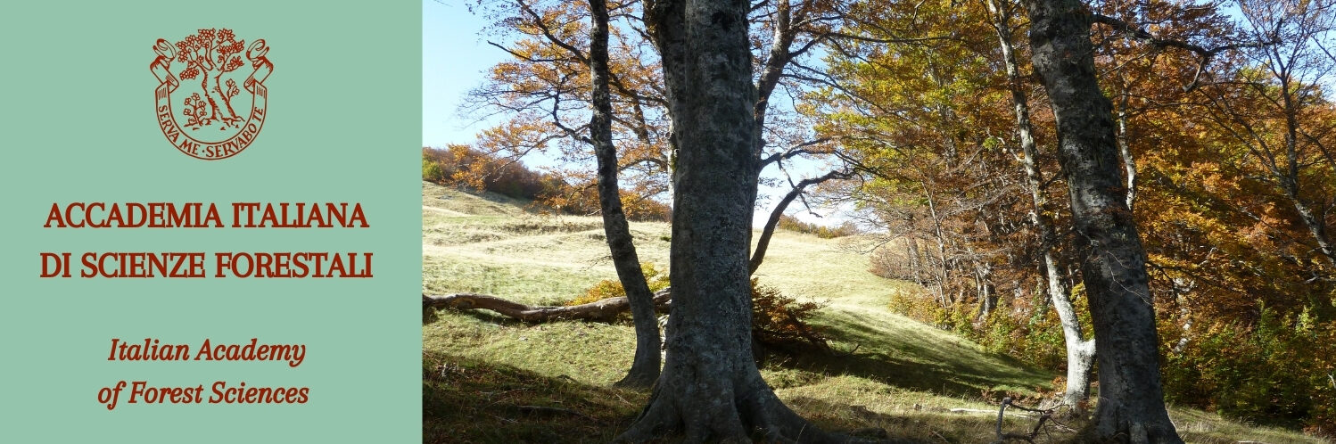 ACCADEMIA ITALIANA DI SCIENZE FORESTALI Italian Academy of Forest Sciences